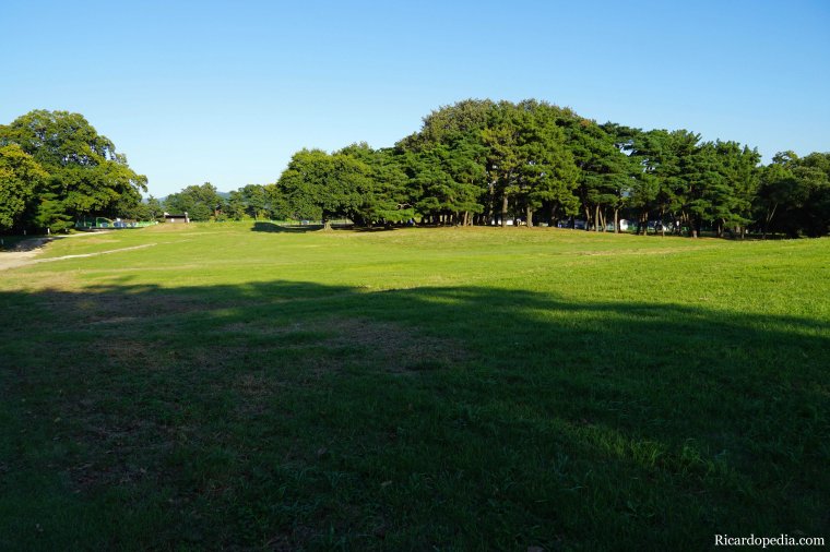 Gyeongju Korea Wolseong Palace Site