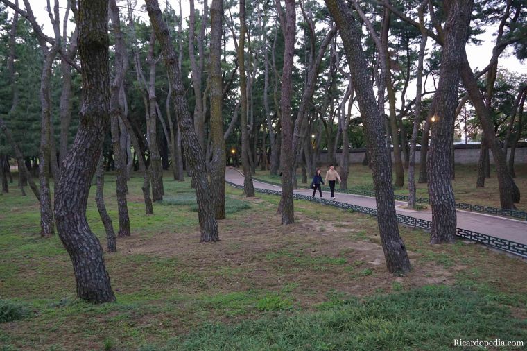 Gyeongju Korea Tumuli Park