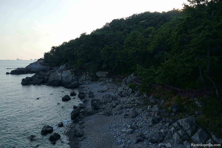 Busan Korea Dongbaekseom