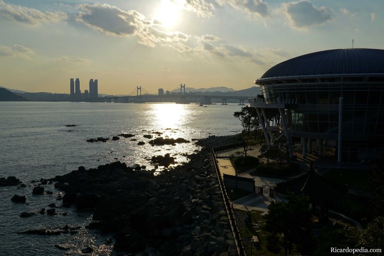 Busan Korea Dongbaekseom