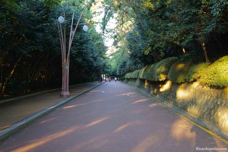 Busan Korea Dongbaekseom