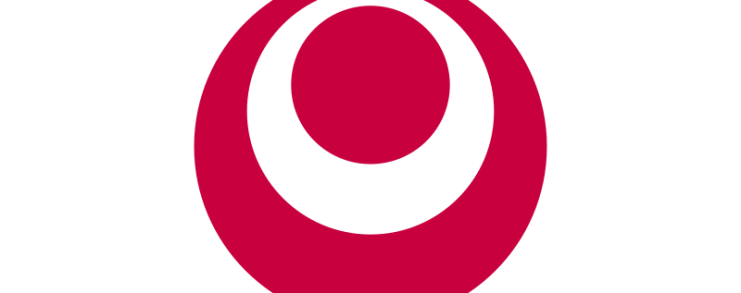 Okinawa Flag