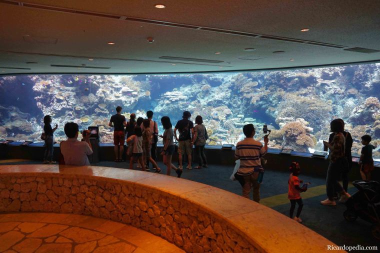 Japan Okinawa Churaumi Aquarium