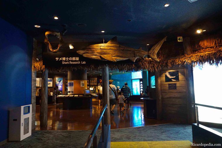 Japan Okinawa Churaumi Aquarium