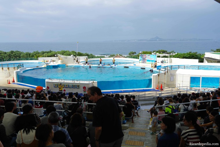 Japan Okinawa Churaumi Aquarium