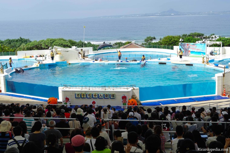 Japan Okinawa Churaumi Aquarium