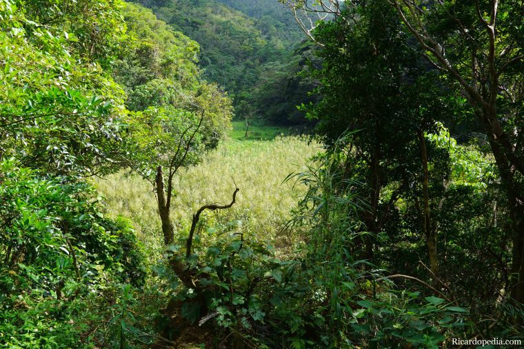 Japan Okinawa Hiji Waterfall