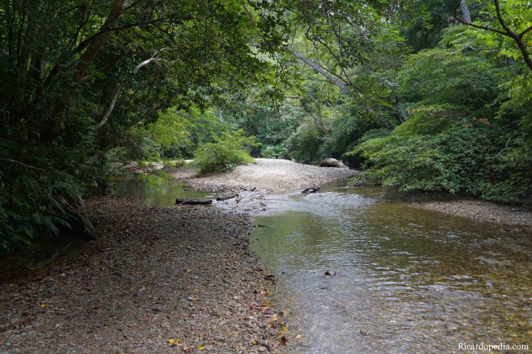 Japan Okinawa Hiji Waterfall