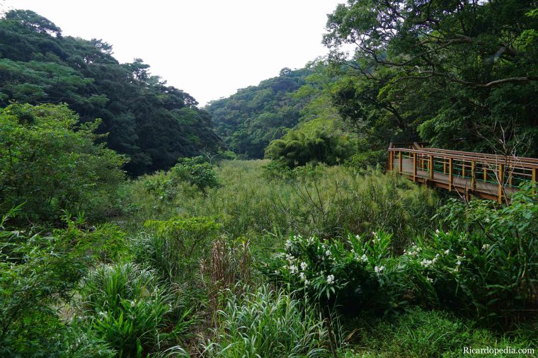 Japan Okinawa Hiji Waterfall