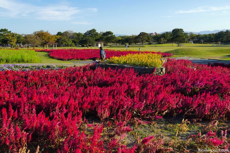 Japan Fukuoka Uminonakamichi Seaside Park