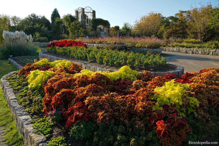 Japan Fukuoka Uminonakamichi Seaside Park