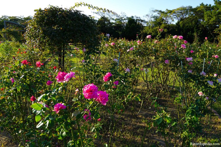 Japan Fukuoka Uminonakamichi Seaside Park