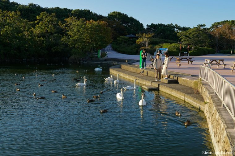 Japan Fukuoka Uminonakamichi Seaside Park