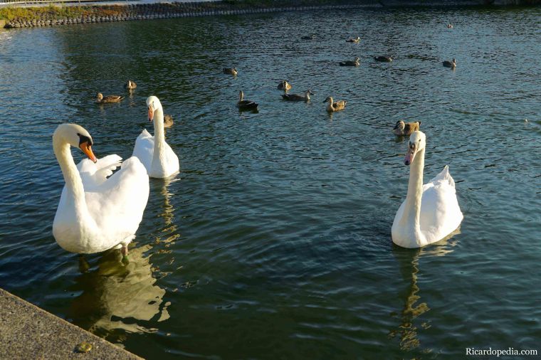 Japan Fukuoka Uminonakamichi Seaside Park