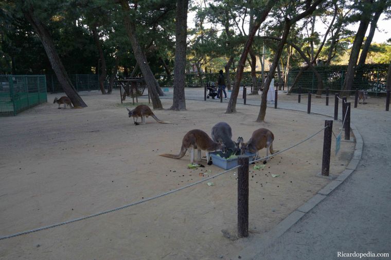 Japan Fukuoka Uminonakamichi Seaside Park