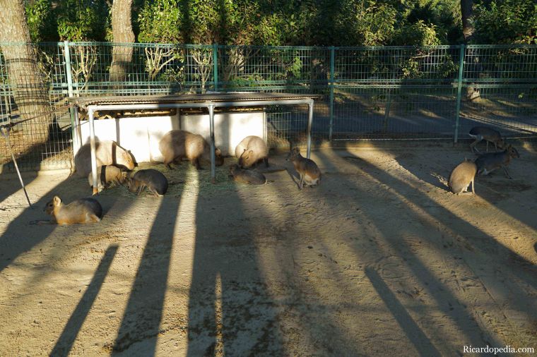 Japan Fukuoka Uminonakamichi Seaside Park