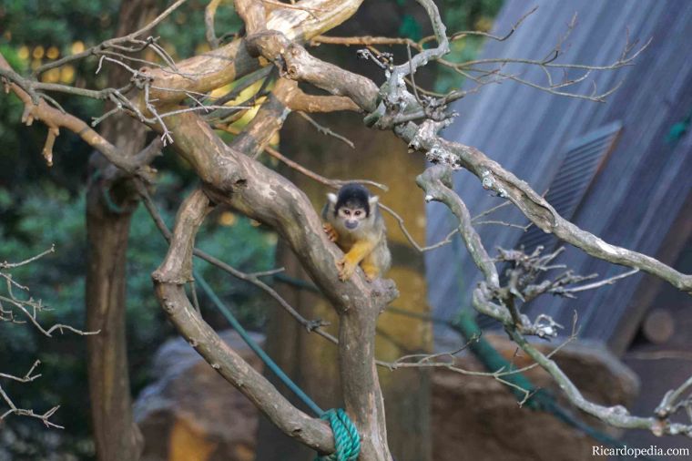 Japan Fukuoka Uminonakamichi Seaside Park