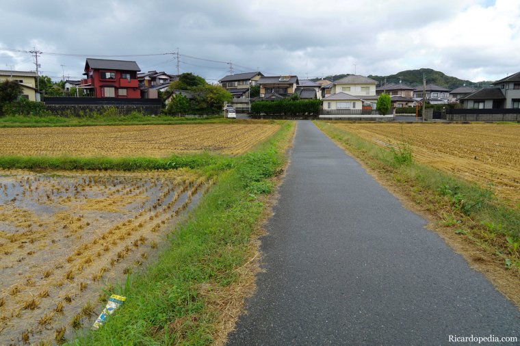 Japan Itoshima Neighborhood