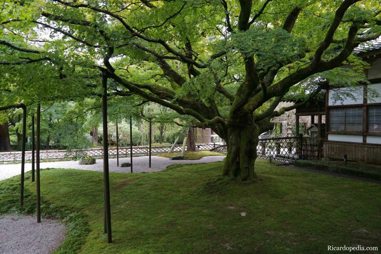 Japan Itoshima Raizansennyoji Taihioin Temple