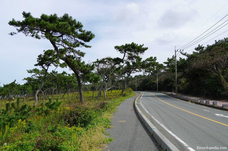 Japan Itoshima Surfer Beach