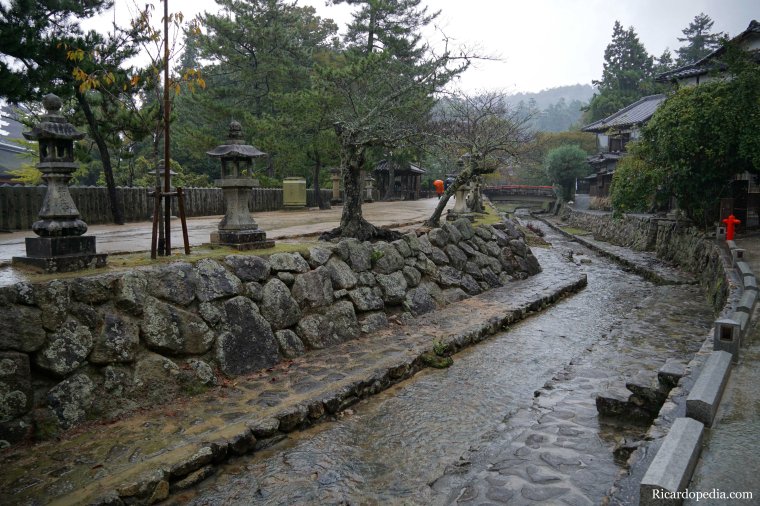 Japan Miyajima Rainy Morning