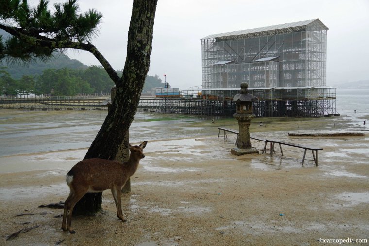 Japan Miyajima Rainy Morning