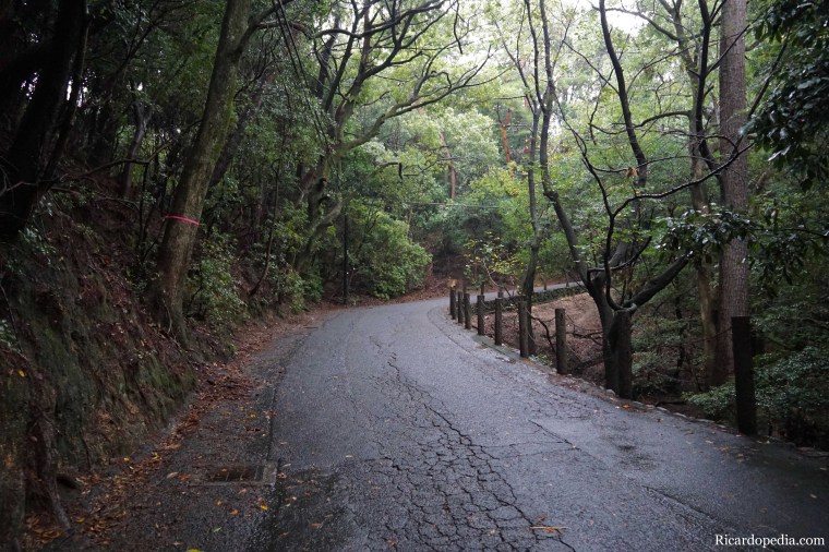 Japan Miyajima Hiking