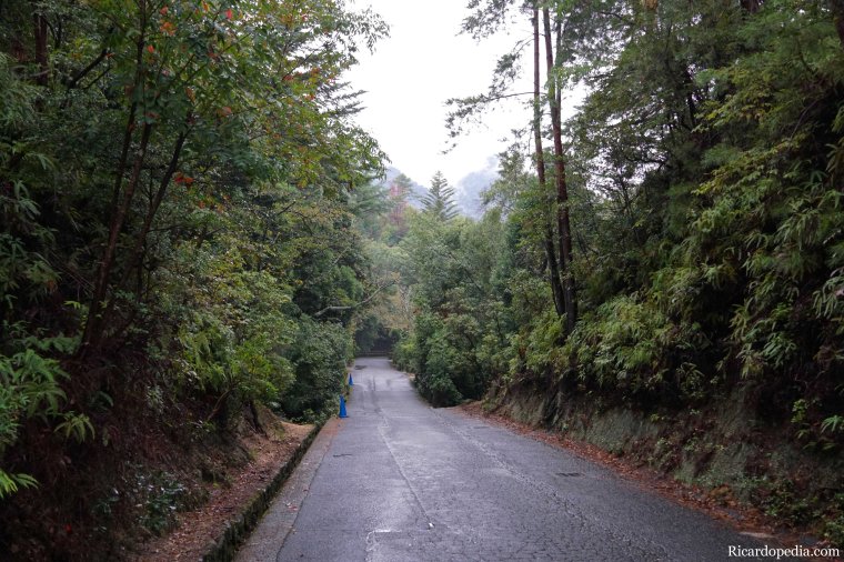 Japan Miyajima Hiking