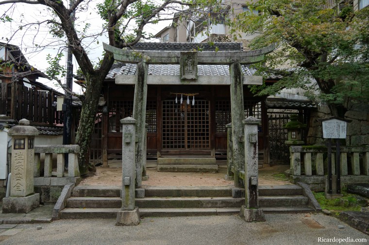 Japan Miyajima Last Walk