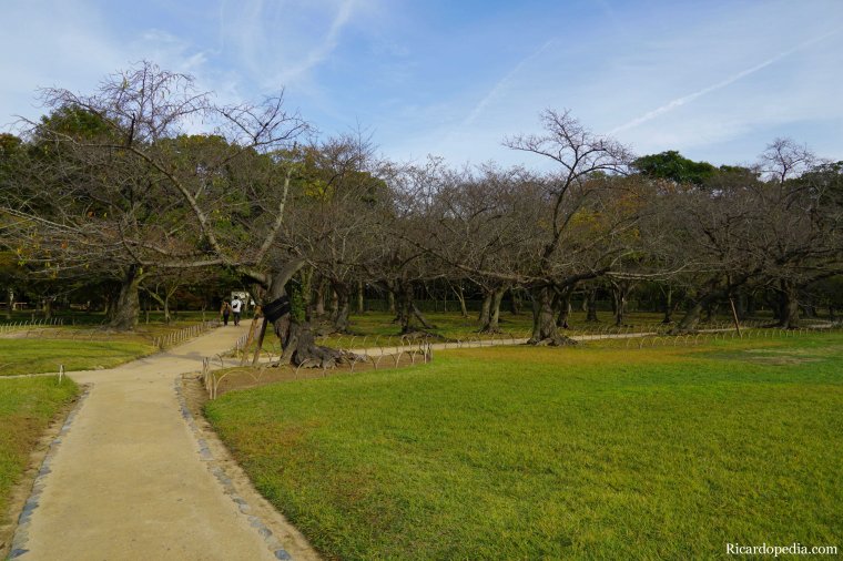 Japan Okayama Korakuen Garden