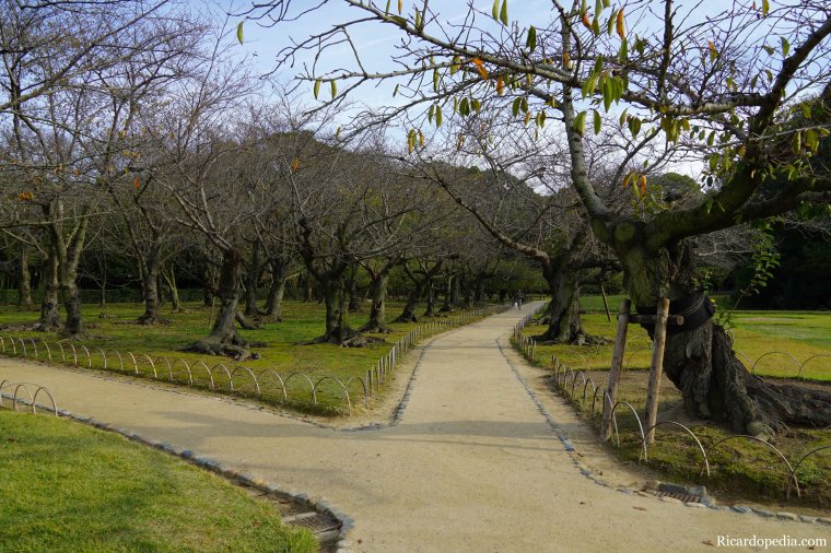 Japan Okayama Korakuen Garden