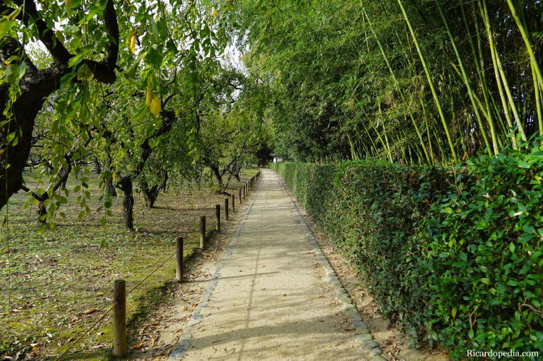 Japan Okayama Korakuen Garden