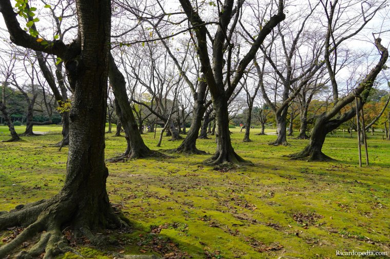 Japan Okayama Korakuen Garden