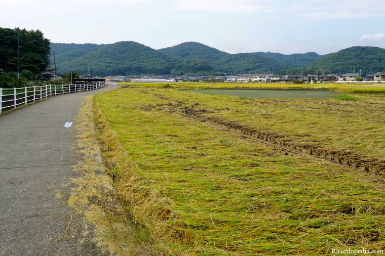 Japan Okayama Bicycling Kibi Plain