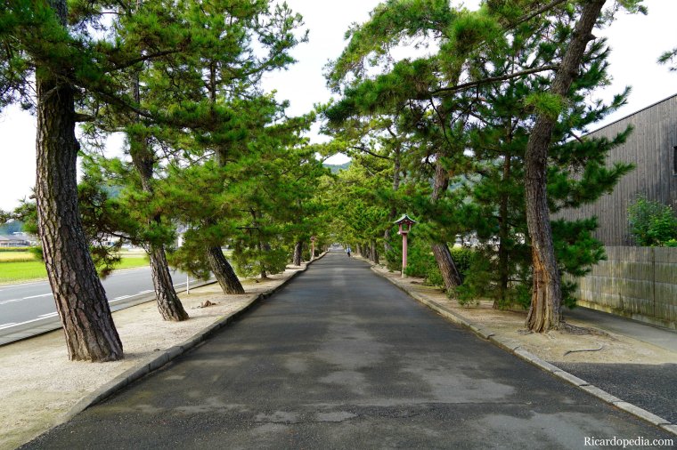 Japan Okayama Bicycling Kibi Plain