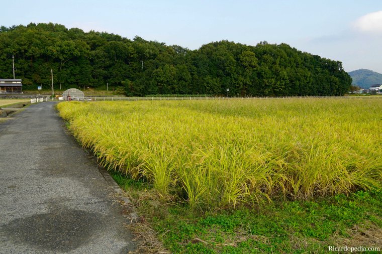 Japan Okayama Bicycling Kibi Plain