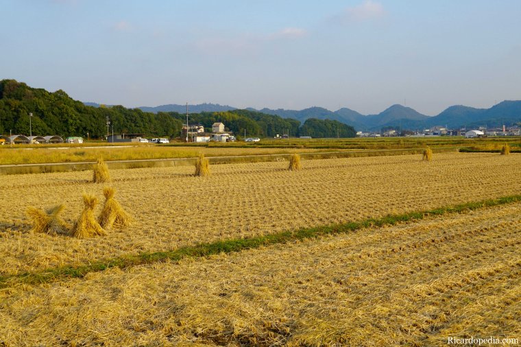 Japan Okayama Bicycling Kibi Plain