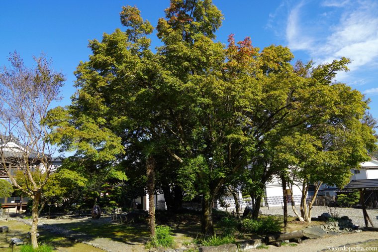 Japan Uchiko Kamihaga Residence