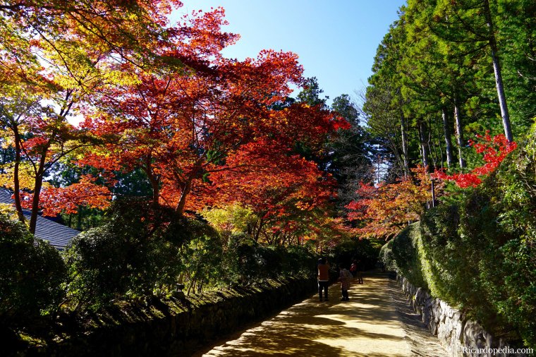 Japan Mount Koya Exploring Koyasan