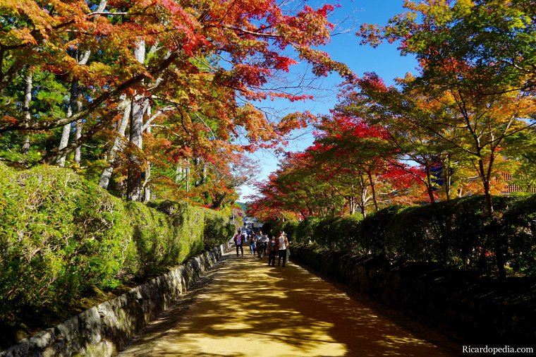 Japan Mount Koya Exploring Koyasan