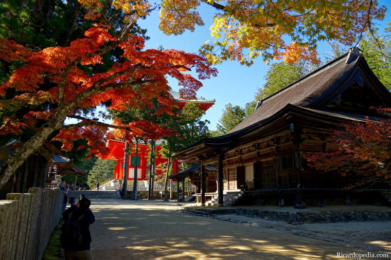 Japan Mount Koya Exploring Koyasan