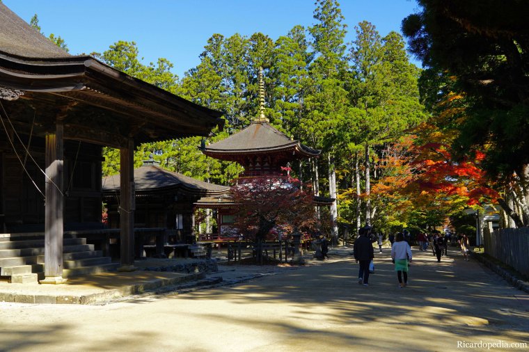 Japan Mount Koya Exploring Koyasan