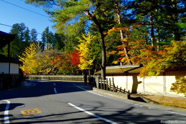 Japan Mount Koya Exploring Koyasan