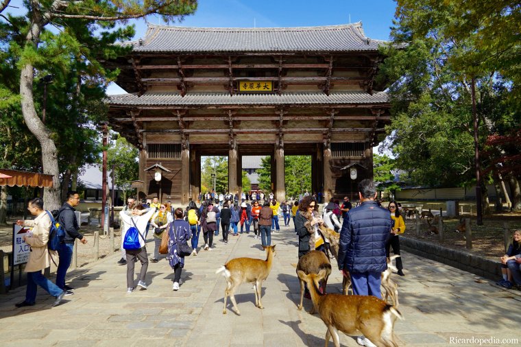 Japan Nara Todaiji Temple