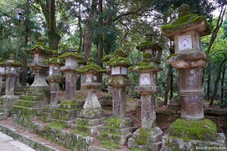 Japan Nara Kasuga Taisha