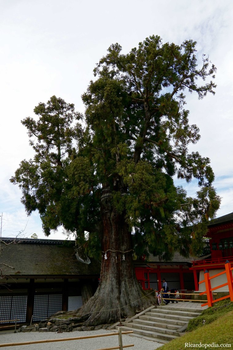 Japan Nara Kasuga Taisha