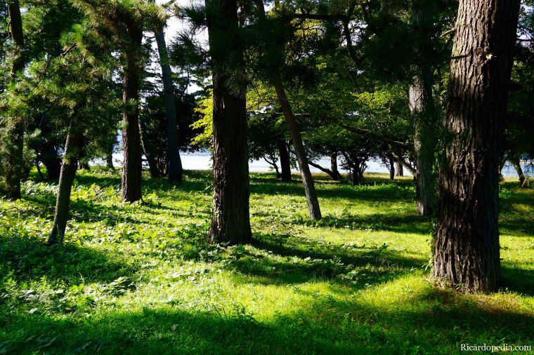 Japan Amanohashidate Sandbar