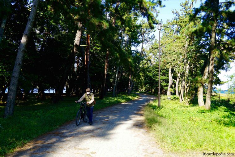 Japan Amanohashidate Sandbar