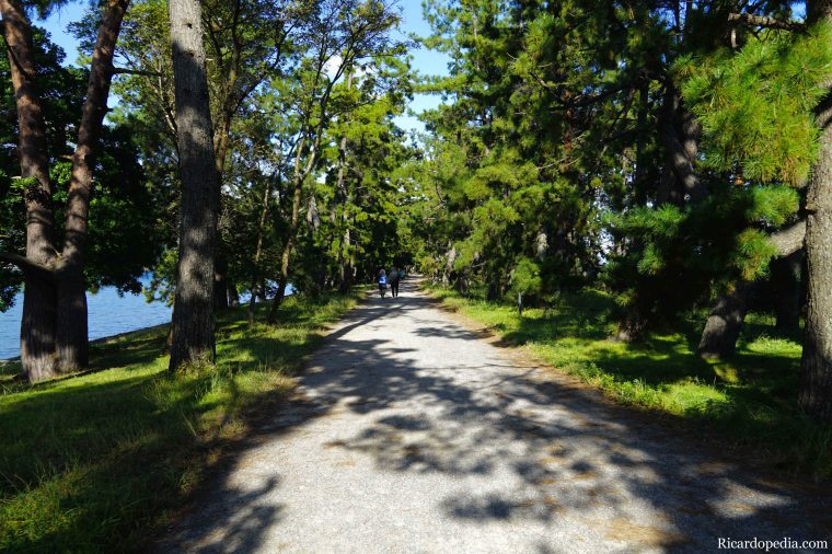 Japan Amanohashidate Sandbar