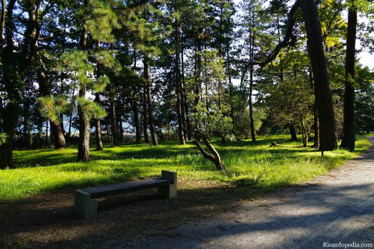 Japan Amanohashidate Sandbar